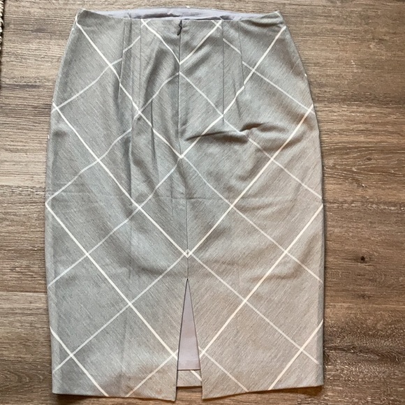 Light Gray Express Skirt with Linear Print - Picture 5 of 8